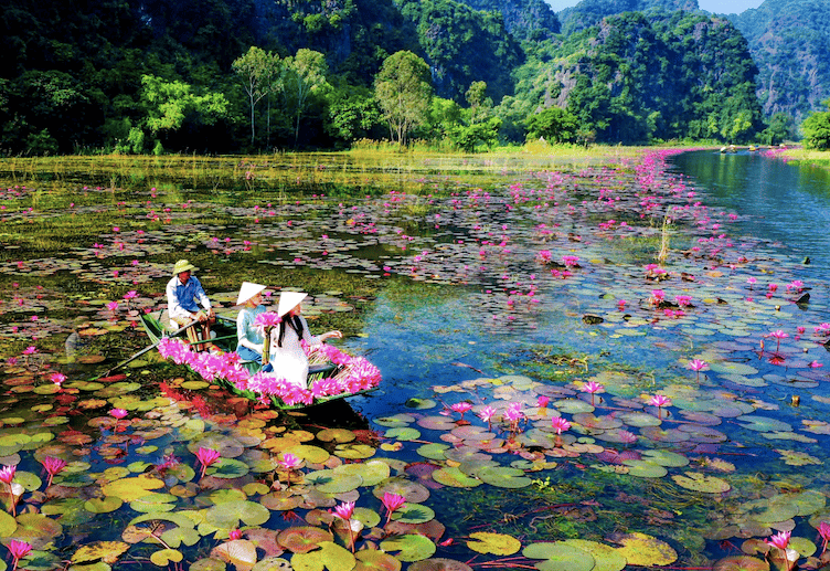 CUỘC THI ẢNH “KHOẢNH KHẮC HOA SÚNG 2025” – GHI DẤU VẺ ĐẸP TAM CỐC TRONG MÙA HOA NỞ